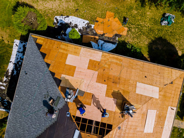 Best Roof Repair Services  in San Felipe, TX