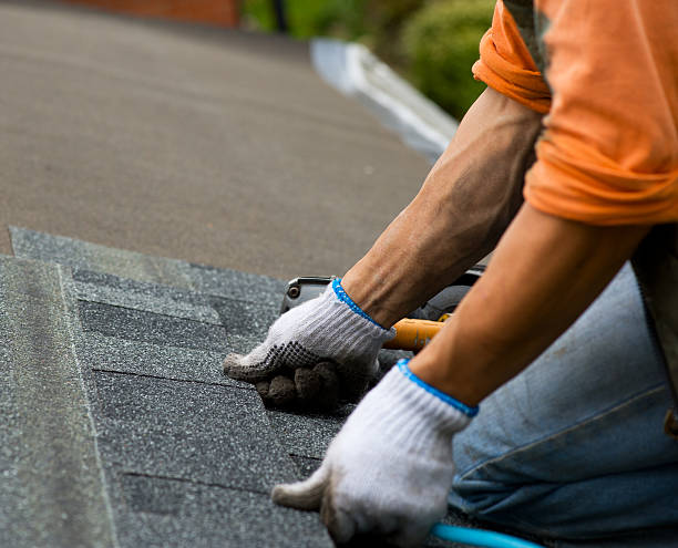 Best Roof Waterproofing Services  in San Felipe, TX
